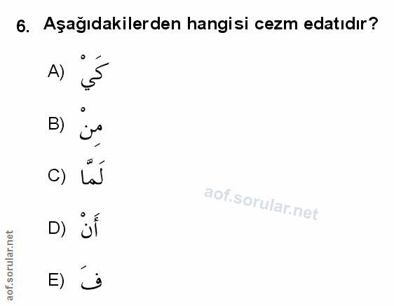 Soru 6