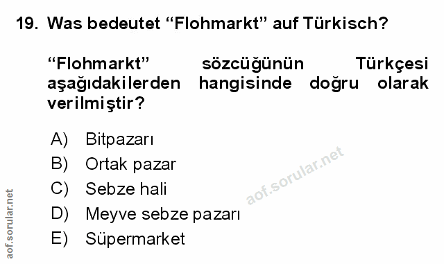 Soru 19
