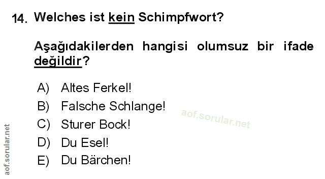 Soru 14