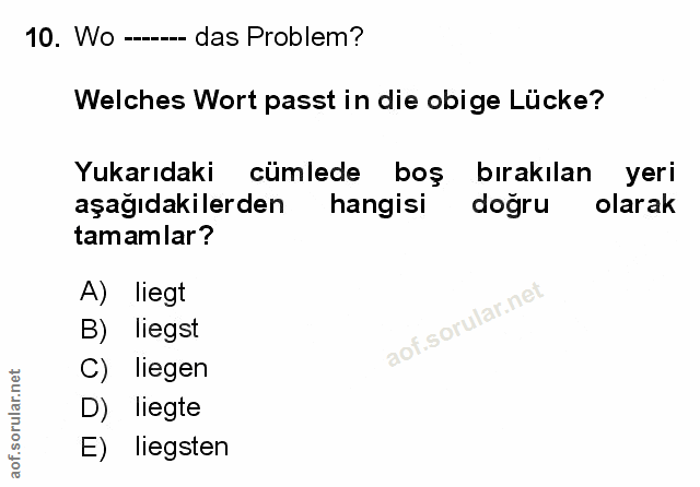 Soru 10