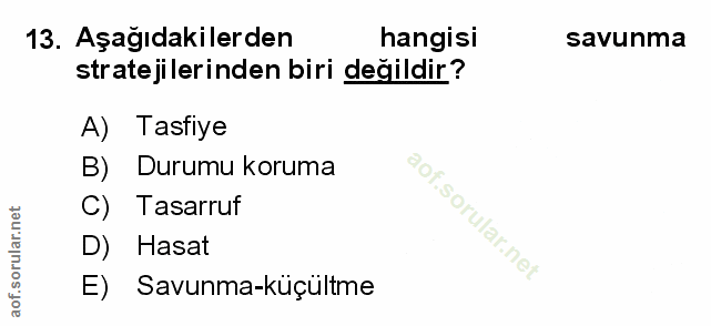Soru 13