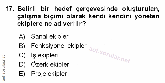 Soru 17
