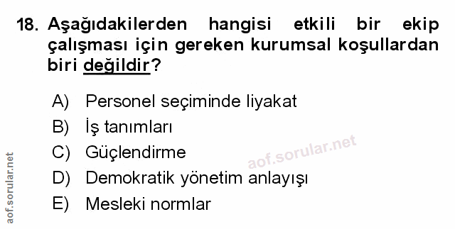 Soru 18