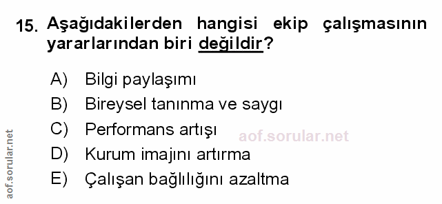 Soru 15