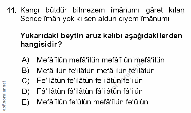 Soru 11