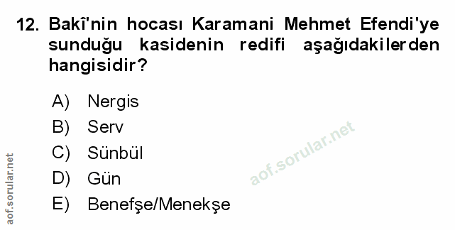 Soru 12