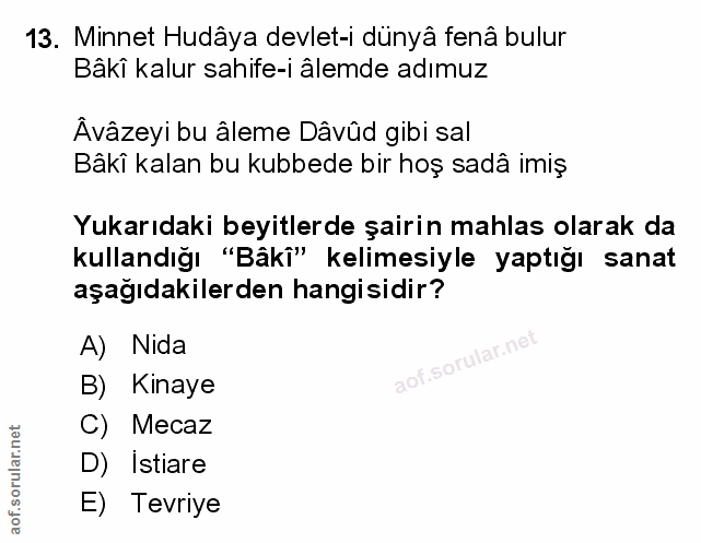 Soru 13