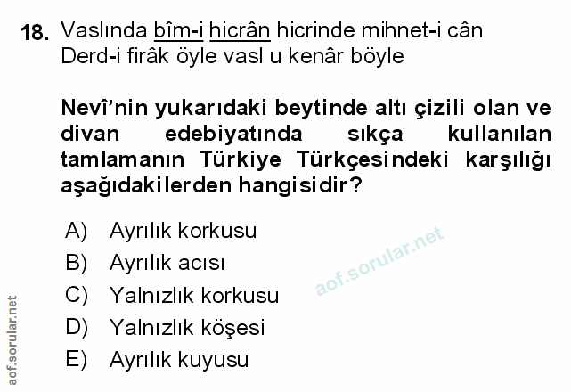 Soru 18