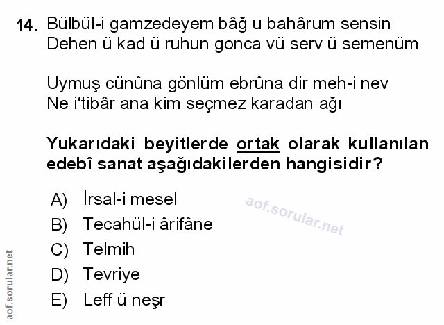Soru 14