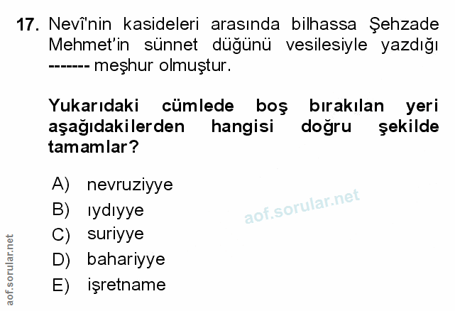 Soru 17