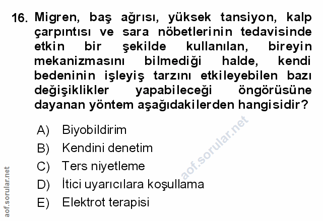 Soru 16