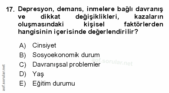 Soru 17