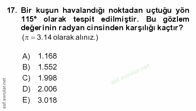 Soru 17