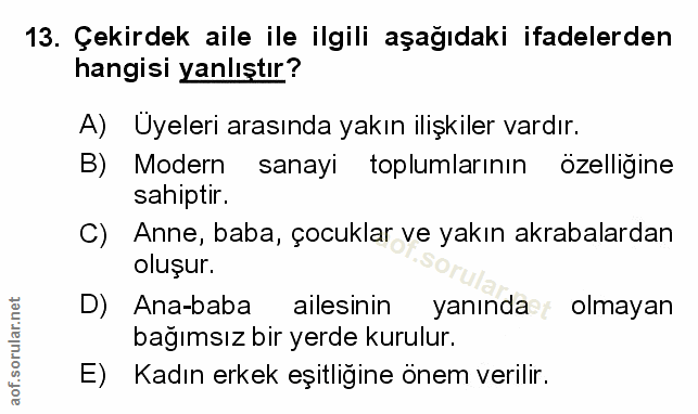 Soru 13