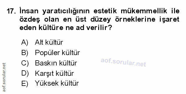 Soru 17