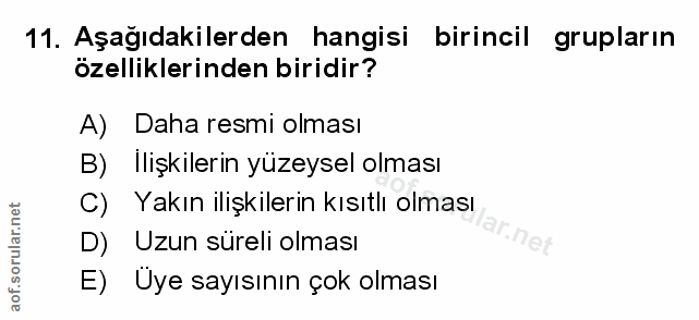 Soru 11