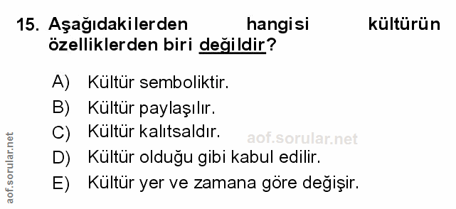 Soru 15