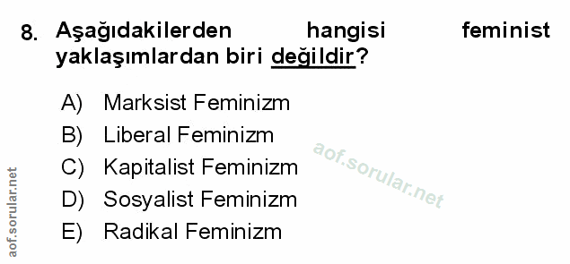 Soru 8