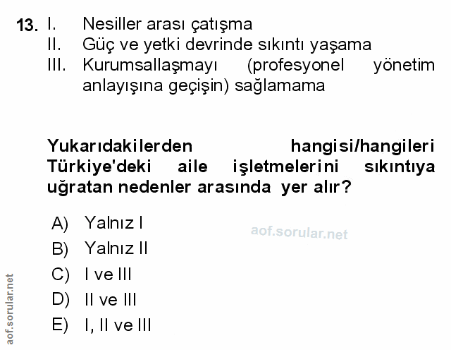 Soru 13