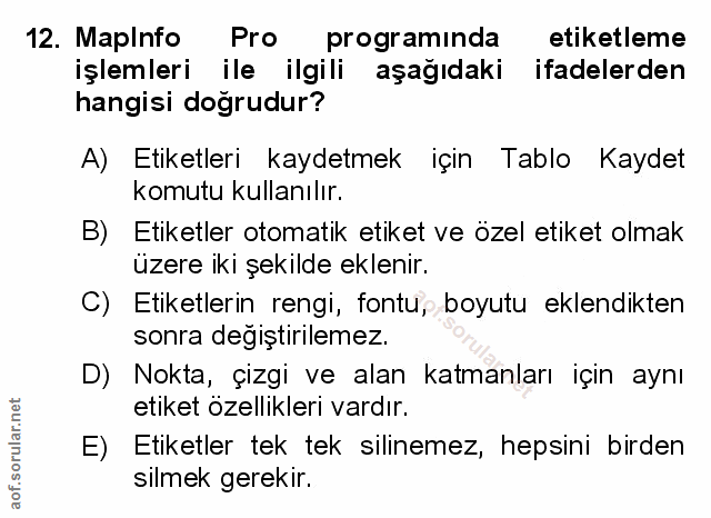 Soru 12