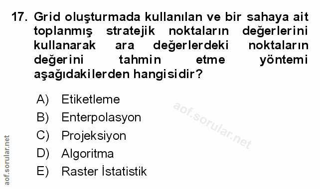 Soru 17