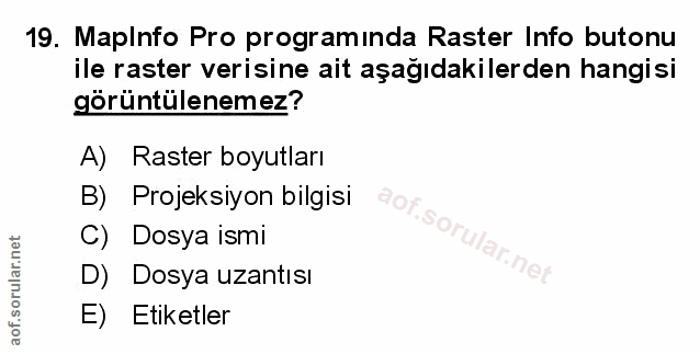 Soru 19
