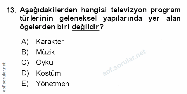Soru 13