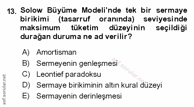Soru 13