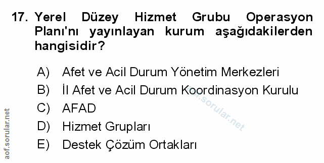 Soru 17