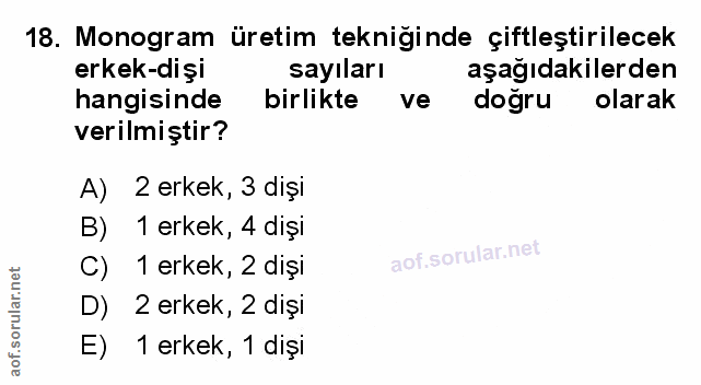 Soru 18