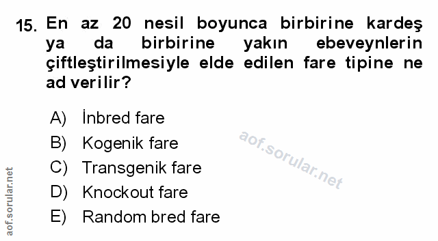 Soru 15