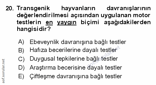 Soru 20