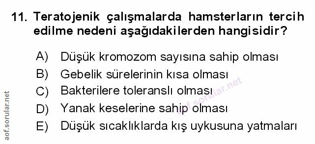 Soru 11