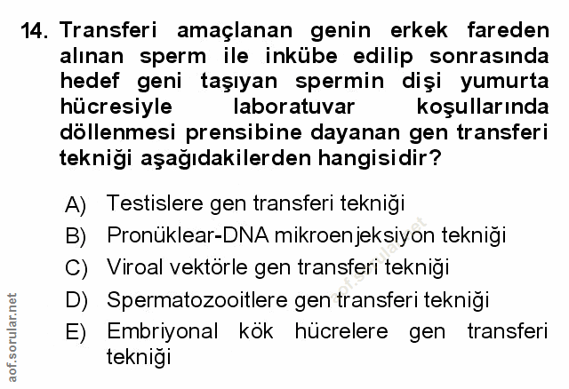 Soru 14