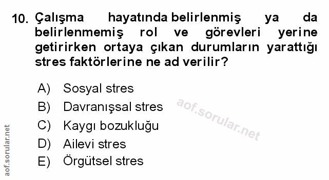 Soru 10