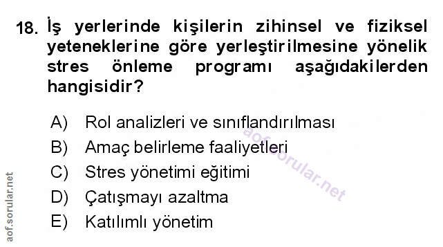 Soru 18