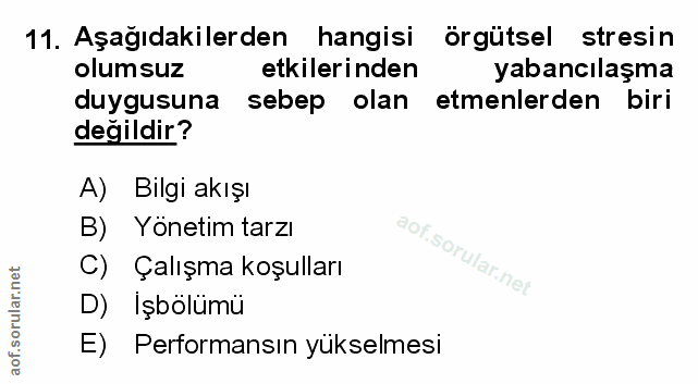 Soru 11
