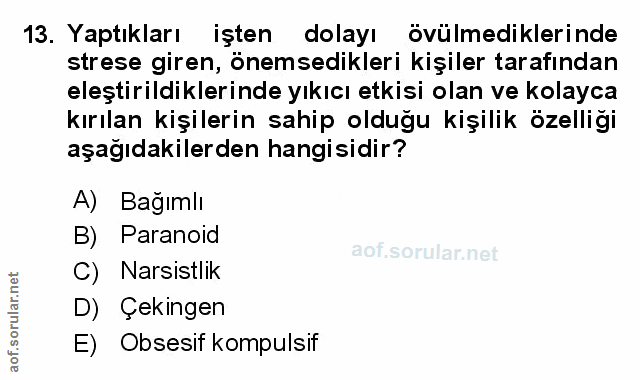 Soru 13