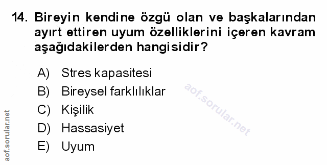Soru 14