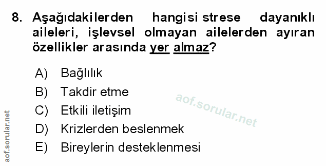 Soru 8