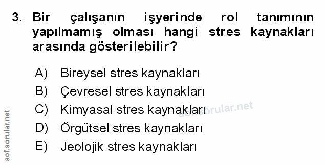 Soru 3
