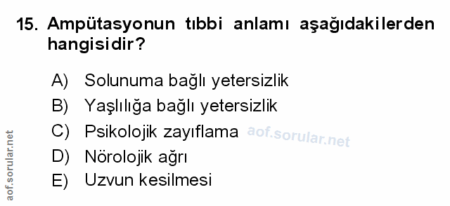 Soru 15