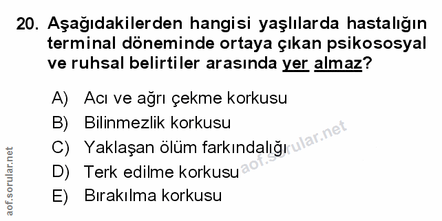 Soru 20