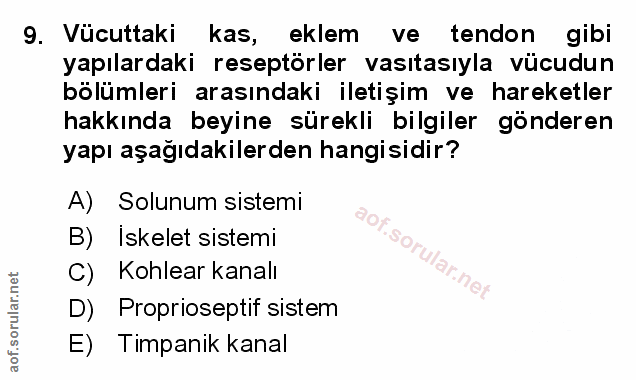 Soru 9