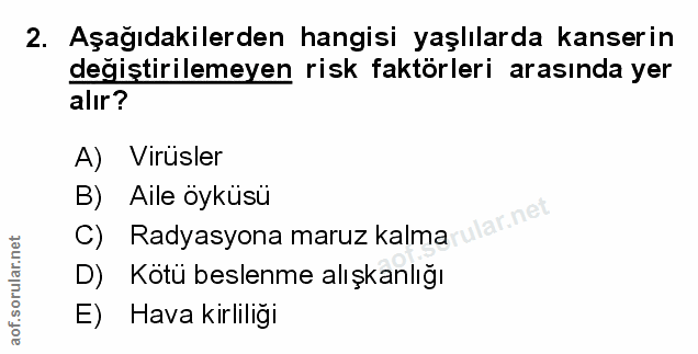 Soru 2