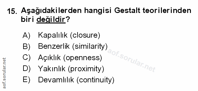 Soru 15