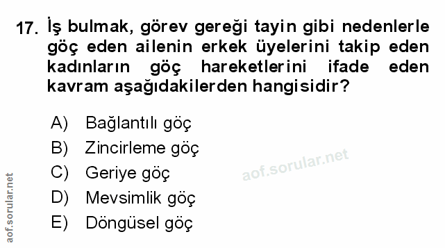 Soru 17