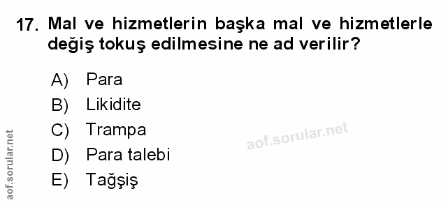 Soru 17