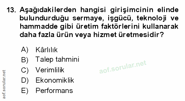 Soru 13