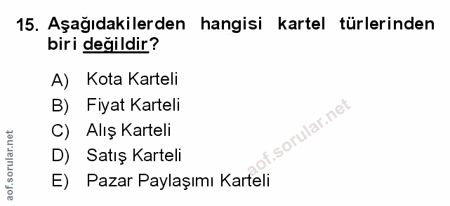 Soru 15